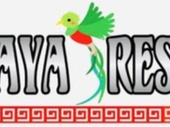 Screen Shot 2021-06-14 at 2.33.28 PM