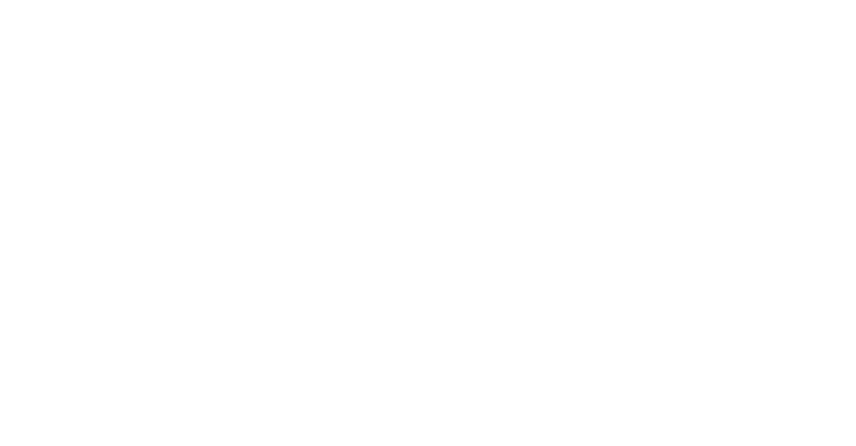 New Economics for Women logo